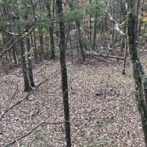 Meet your Posher, Samuel